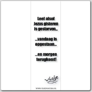 Boekenlegger visje leef alsof Jezus gist - 44877 -  Visje bij MajesticAlly