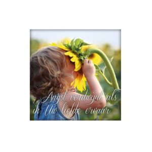 Wenskaart 'Angst verdwijnt' - MA14015 -  Living Melodies bij MajesticAlly