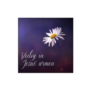 Wenskaart 'Veilig in Jezus' armen' - MA14019 -  Living Melodies bij MajesticAlly