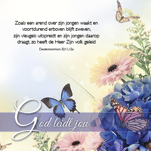 Kaart 'God leidt jou' - MA46122 -  Bemoediging bij MajesticAlly