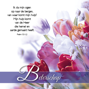 Kaart beterschap - MA46133 -  Beterschap bij MajesticAlly