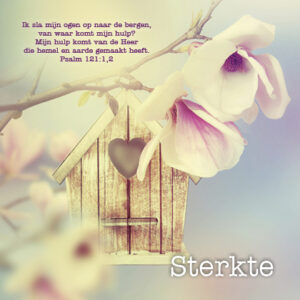 Kaart 'Sterkte - Psalm 121' - MA12009 -  Lifestyle bij MajesticAlly