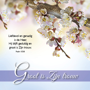 Voordeelpakket 24 kaarten Blessings - MA46250 -  Voordeelpakjes bij MajesticAlly