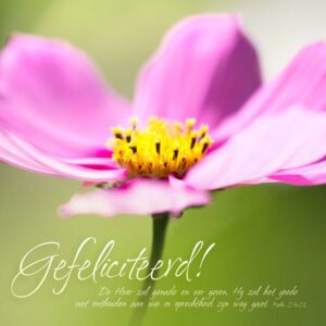 Kaart 'Gefeliciteerd - bloem' - MA11011 -  David Sörensen bij MajesticAlly