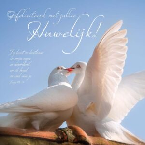 Kaart 'Gefeliciteerd met jullie huwelijk!' - MA11018 -  David Sörensen bij MajesticAlly