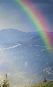 Boekenlegger de Heer is waarlijk opgesta - MA15101 -  Lifestyle  bij MajesticAlly