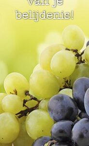 Boekenlegger tg van belijdenis Joh 15:5 - MA15110 -  Lifestyle  bij MajesticAlly