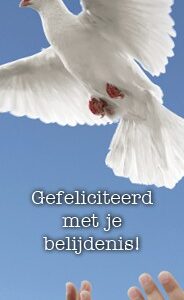 Boekenlegger gef belijdenis duif - MA15111 -  Lifestyle  bij MajesticAlly