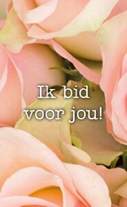 Boekenlegger ik bid voor jou roos - MA15112 -  Lifestyle  bij MajesticAlly