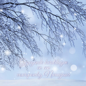 Kerstkaart 'Tak met lichtpuntjes' - MA16008 -  Christelijke kerstkaarten bij MajesticAlly