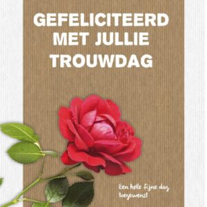 Kaart 'Trouwdag - roos' - MA17049 -  Leef!  bij MajesticAlly