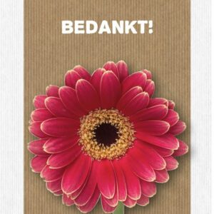 Kaart 'Bedankt' - MA17062 -  Leef!  bij MajesticAlly
