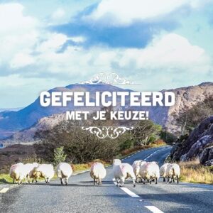 Kaart 'Gefeliciteerd keuze - schapen' - MA15025 -  Lifestyle bij MajesticAlly