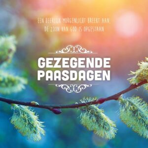 Paaskaart 'Tak met katjes' - MA15035 -  Pasen bij MajesticAlly