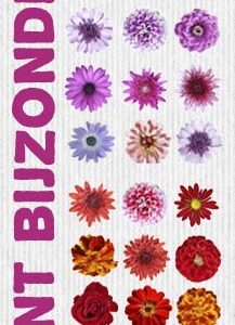 Boekenlegger je bent bijzonder - MA17204 -  Boekenleggers bij MajesticAlly