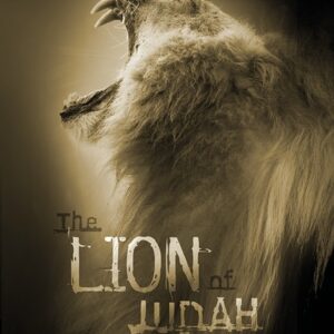 Poster the lion of Judah - MA11348 -  Posters XL  bij MajesticAlly