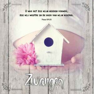 Kaart 'Zwanger' - MA19001 -  Brocante bij MajesticAlly