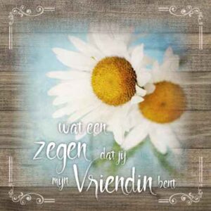 Kaart 'Zegen - vriendin' - MA19011 -  Brocante bij MajesticAlly