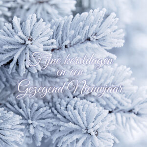 Kerstkaart 'Besneeuwde takken' - MA16012 -  Christelijke kerstkaarten bij MajesticAlly