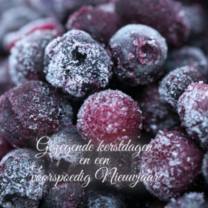 Kerstkaart 'Donkerrode bessen' - MA16011 -  Christelijke kerstkaarten bij MajesticAlly