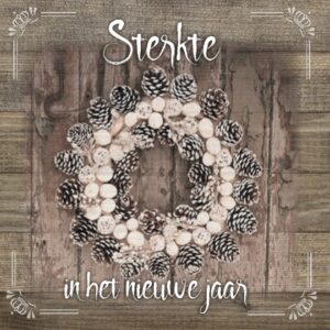 Kerstkaart 'Sterkte in het nieuwe jaar' - MA19042 -  Algemene kerstkaarten bij MajesticAlly