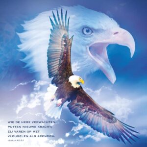 Kaart 'Arenden' - MA11030 -  David Sörensen bij MajesticAlly