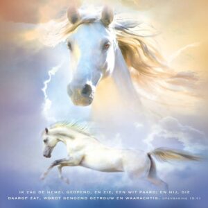 Kaart 'Het witte paard' - MA11026 -  David Sörensen bij MajesticAlly