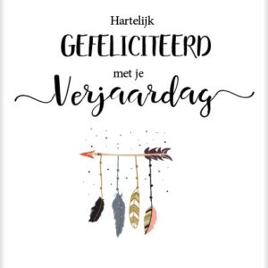 Kaart 'Hartelijk gefeliciteerd - veren' - MA25021 -  Beautiful Day bij MajesticAlly