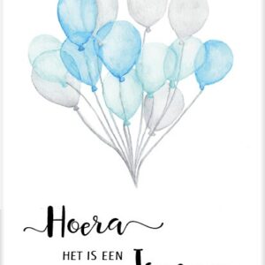 Kaart 'Hoera het is een jongen' - MA25032 -  Beautiful Day bij MajesticAlly