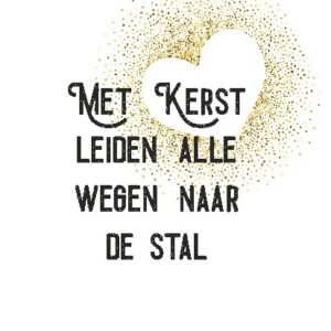 Kerstkaart 'Met kerst leiden alle wegen naar de stal' - Visje - MA26003 -  Visje kerstkaarten bij MajesticAlly