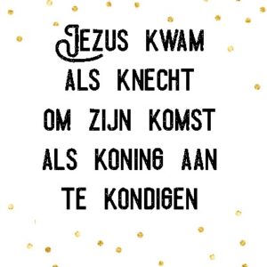 Kerstkaart  'Jezus kwam als knecht - Visje - MA26005 -  Visje kerstkaarten bij MajesticAlly