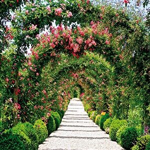 Kalender 2018 Momenten van aanbidding (HSV) - 18739022 -  Kalenders/agenda's 2018 bij MajesticAlly