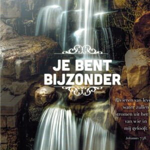 Kaart 'Je bent bijzonder' - MA15028 -  Lifestyle bij MajesticAlly