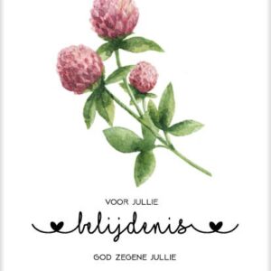 Kaart 'Voor jullie belijdenis' - MA31053 -  Bloom bij MajesticAlly