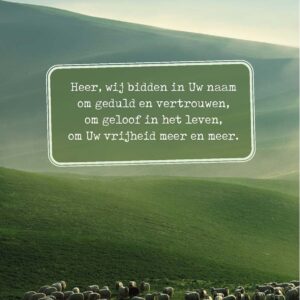 Opwekking 850 - 552912 -  Kaartenseries bij MajesticAlly