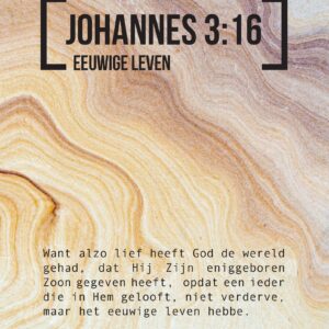 Bijbeltekstkaart 'Johannes 3:16' SV - MA42106 -  Interieurkaarten bij MajesticAlly