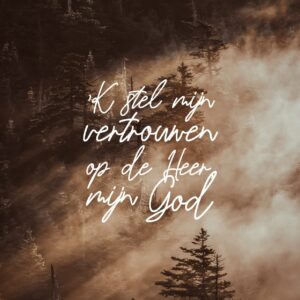 Wenskaart 'k stel mijn vertrouwen - MA44040 -  LUV2022 bij MajesticAlly