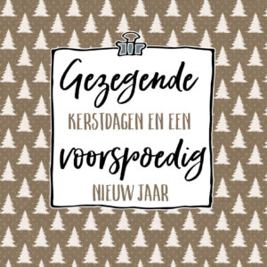 Gezegende kerstdagen en een voorspoedig nieuw jaar