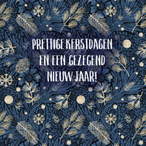 Prettige kerstdagen en een voorspoedig nieuw jaar