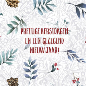 Prettige kerstdagen en een voorspoedig nieuw jaar