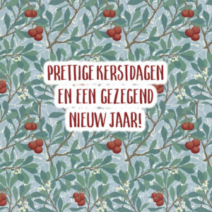Prettige kerstdagen en een gezegend nieuw jaar