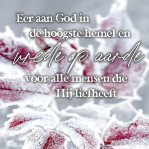 Eer aan God in de hoogste hemel en vrede op aarde voor alle mensen die Hij liefheeft