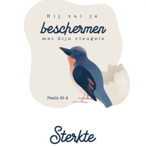 Kaart 'Sterkte - Hij zal je beschermen met Zijn vleugels (Psalm 91:4)