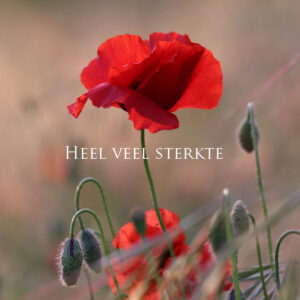 MA34136 - Vierkante wenskaart 'Heel veel sterkte - klaproos'