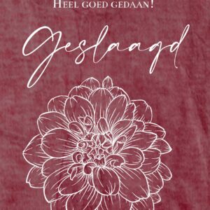 MA55015 - Wenskaart 'Geslaagd'