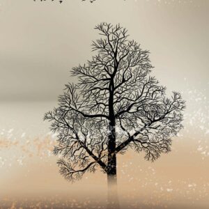 MA55043 - Wenskaart 'Boom'