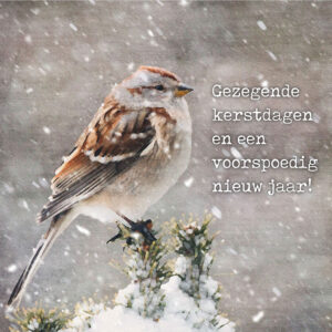 MA41204 - Minikerstkaart 'Mus in sneeuw'