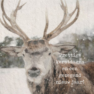 MA41211 - Minikerstkaart 'Eland'