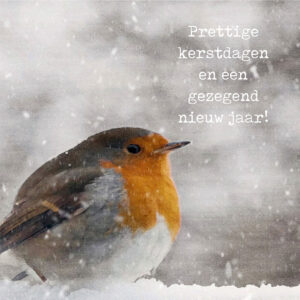 MA41221 - Minikerstkaart 'Roodborstje'