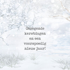 MA41223 - Minikerstkaart 'Besneeuwde takken'